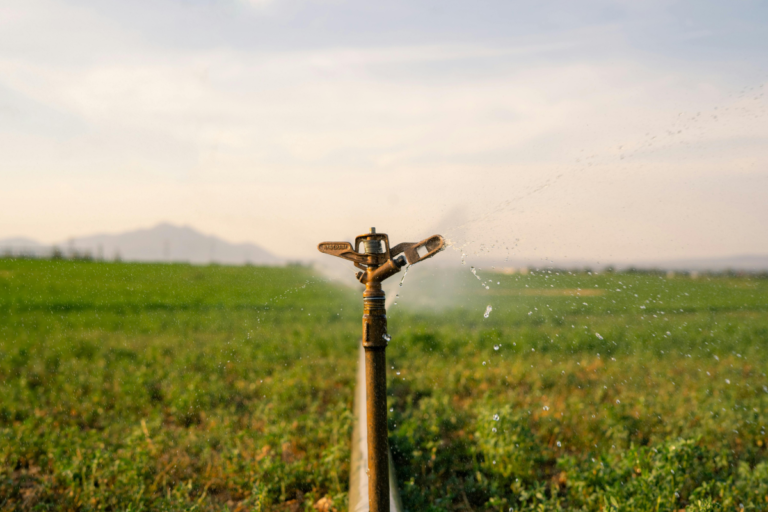 Why Drip Irrigation Is the Smart Choice for Modern Gardens