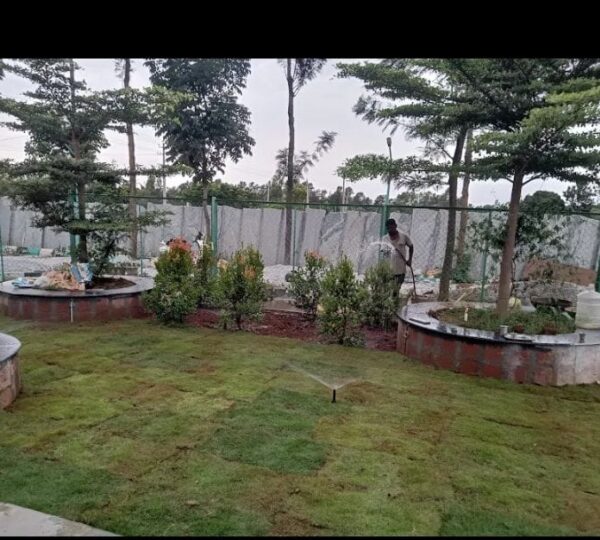 WhatsApp Image 2025-08-22 at 17.17.21 (1)
