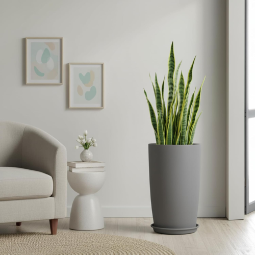 Kraft Seeds Qutub 18 inch Pot - Image 4